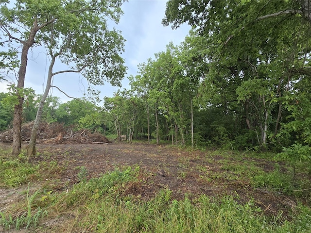 3979 Felder Rd, Washington, TX 77880 - photo 7