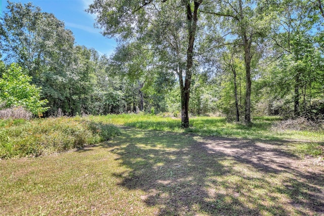 26410 Anderson Rd, Magnolia, TX 77354 - view of yard featuring a forest view