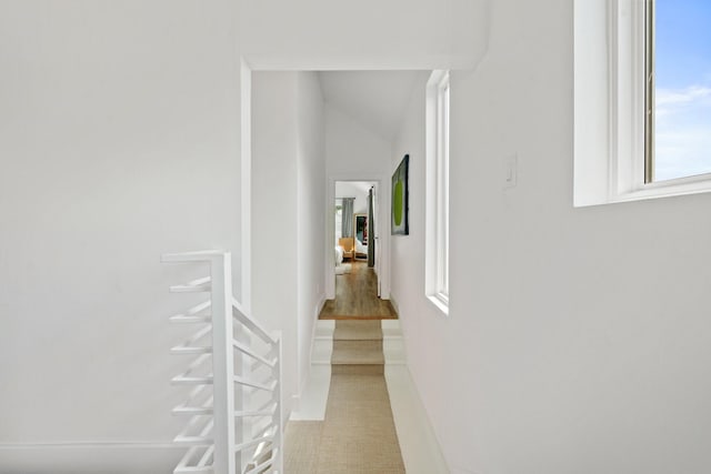 717 E 23rd St, Houston, TX 77008 - corridor with healthy amount of natural light