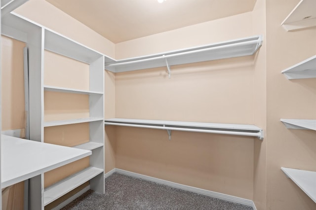 walk in closet featuring carpet