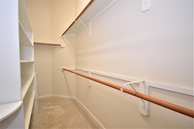walk in closet with light colored carpet