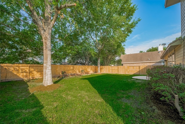 view of yard with a patio