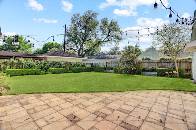view of yard featuring a patio