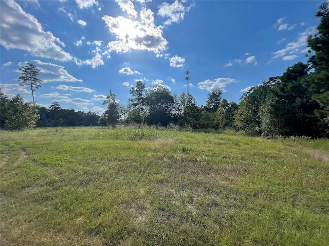 18915 Veterans Rd, Magnolia, TX 77355 - photo 5