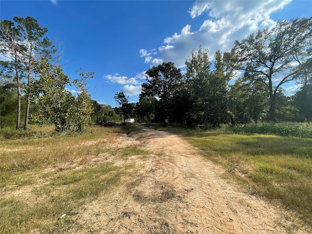 18915 Veterans Rd, Magnolia, TX 77355 - photo 6