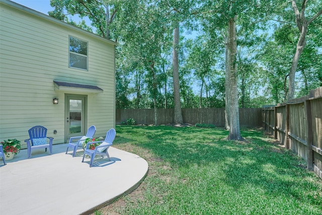 view of yard featuring a patio area