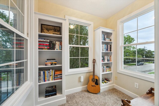 sitting room featuring baseboards and carpet