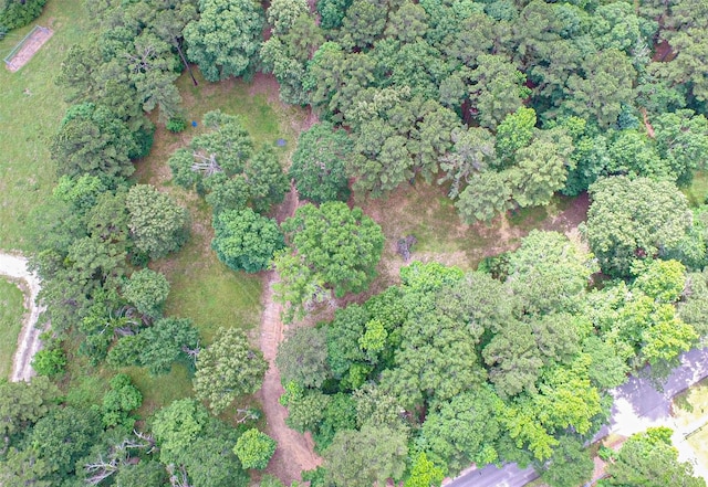6400 US Highway 190 W, Livingston, TX 77351
