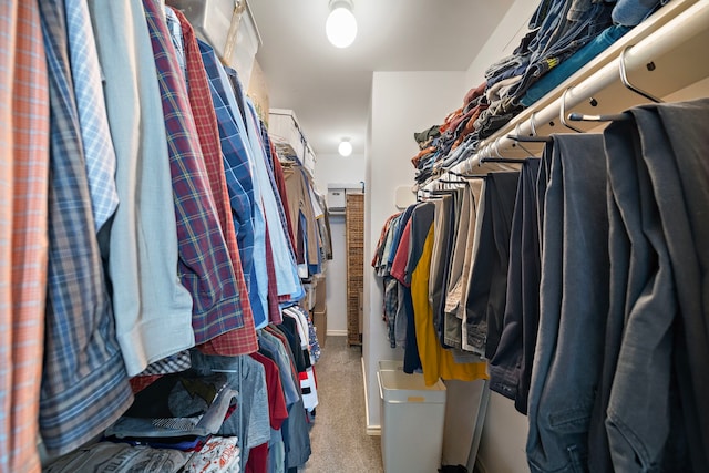 walk in closet featuring carpet floors