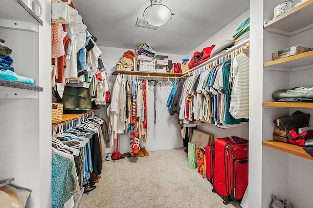 walk in closet with carpet floors