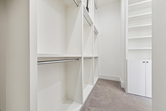 spacious closet with carpet flooring