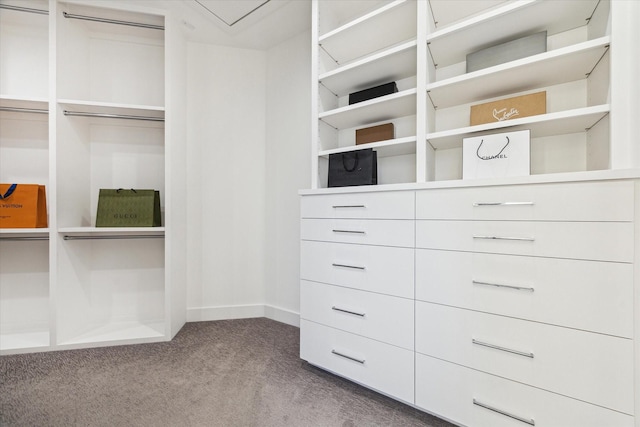 walk in closet with carpet