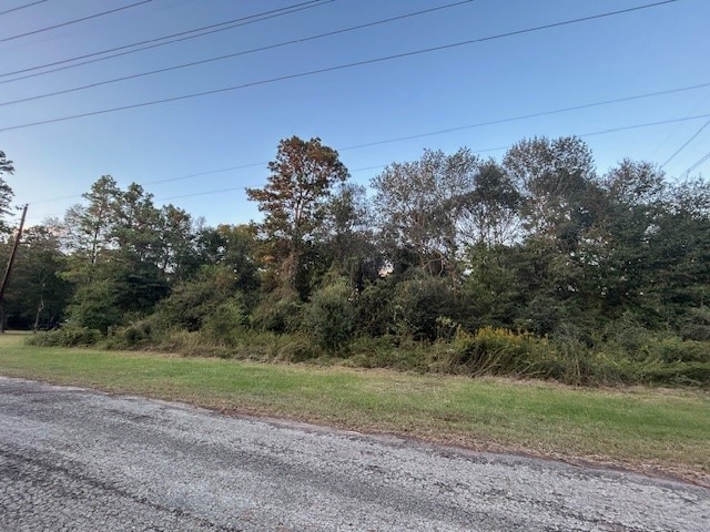 0 Lady Ellen, Hockley, TX 77447 - photo 2