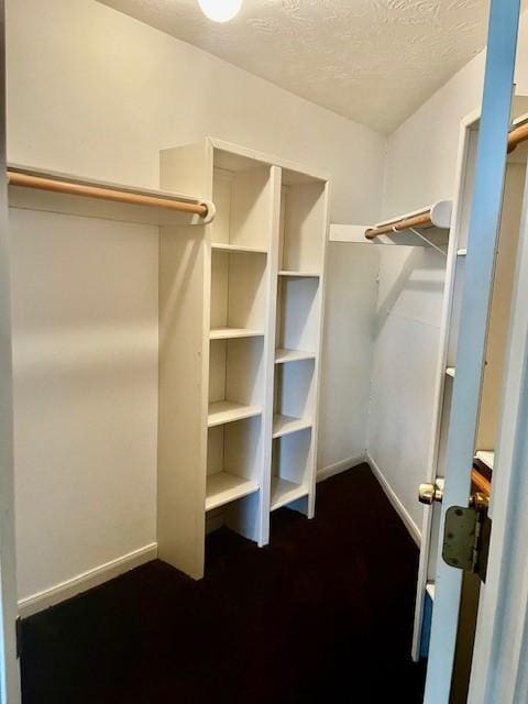10826 Buffum St, Houston, TX 77051 - view of spacious closet