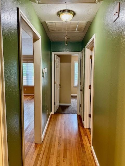 10826 Buffum St, Houston, TX 77051 - hallway with light wood-style floors, attic access, and baseboards