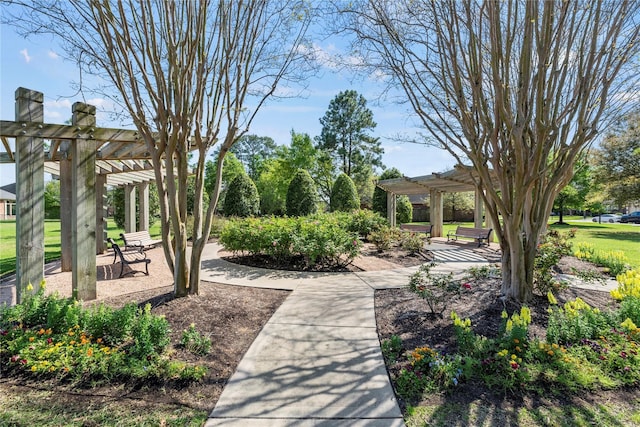 surrounding community featuring a pergola and a patio area