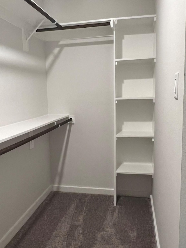 walk in closet featuring dark carpet