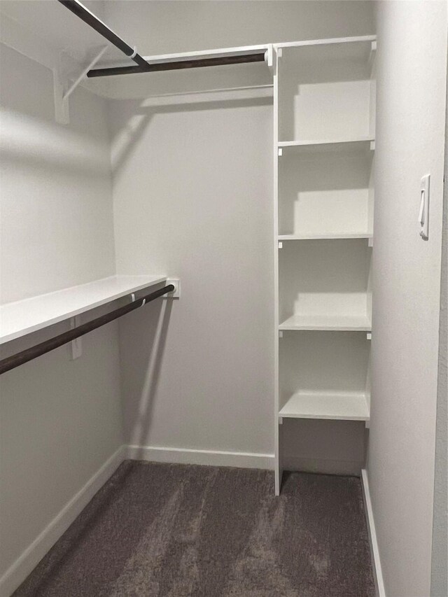 146 Rd 51030, Cleveland, TX 77327 - spacious closet with dark carpet
