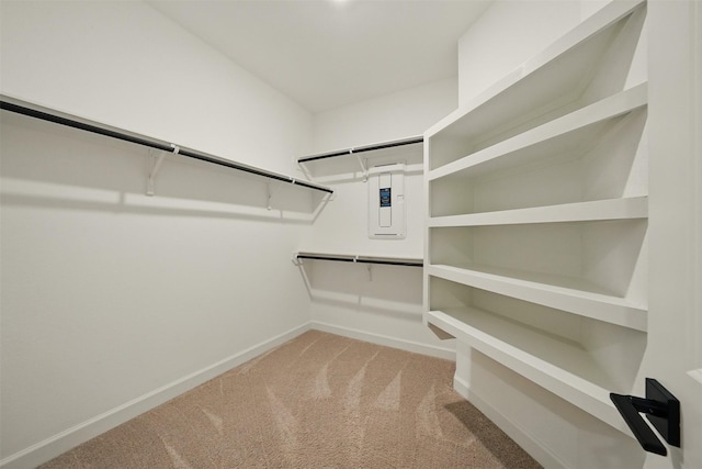 820 Dawn Redwood Ct, Conroe, TX 77304 - spacious closet with carpet and electric panel