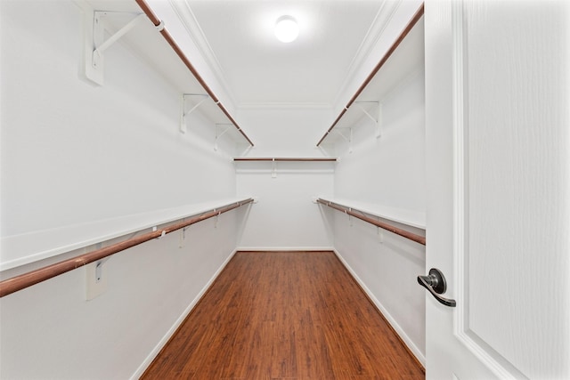 2642 Tacoma Springs Dr, Conroe, TX 77304 - walk in closet with wood finished floors
