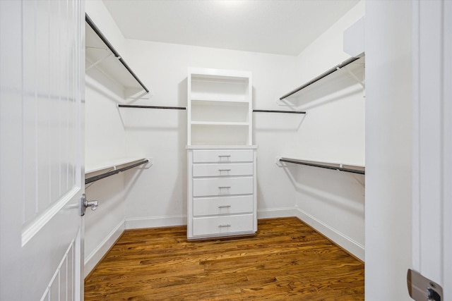 walk in closet featuring wood finished floors