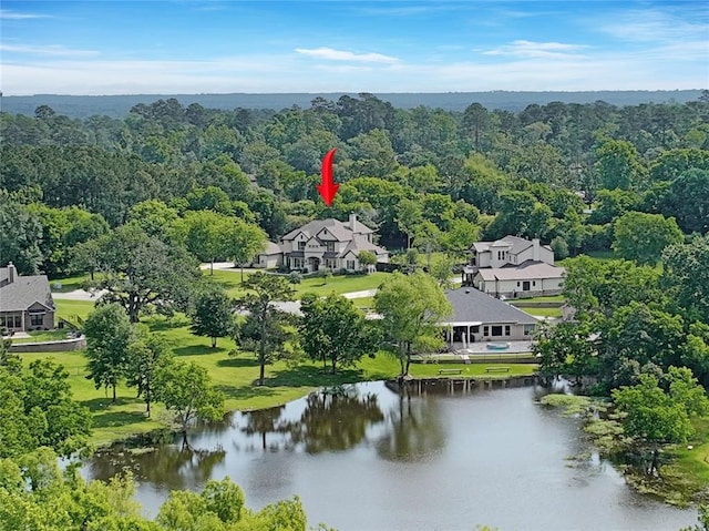 14710 Turquoise Ct, Willis, TX 77378 - drone / aerial view of a large body of water and a heavily wooded area
