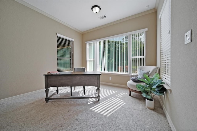 14710 Turquoise Ct, Willis, TX 77378 - office area with carpet, crown molding, baseboards, and a textured wall