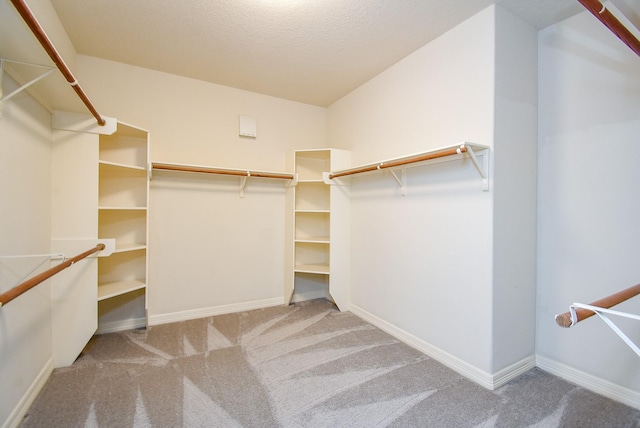 8502 Calverton Pines Ln, Houston, TX 77095 - spacious closet featuring carpet floors