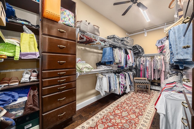 walk in closet with ceiling fan and wood finished floors