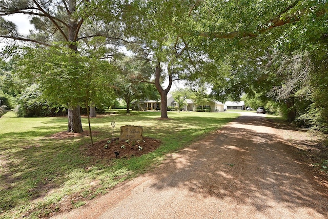 view of dirt / gravel road
