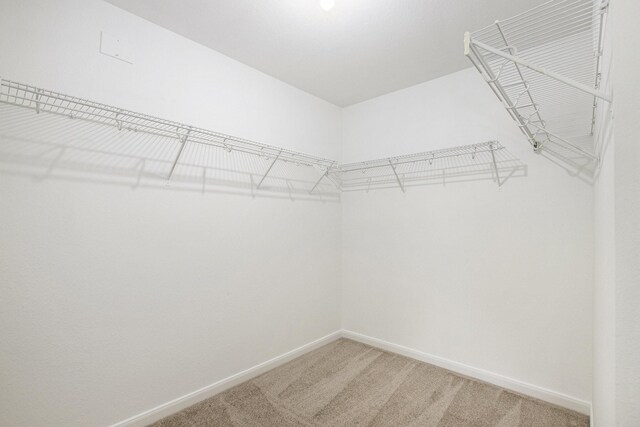 walk in closet with light carpet