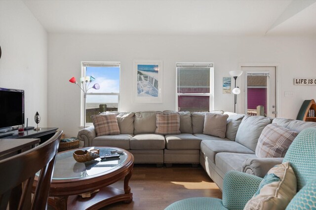 living room with wood finished floors