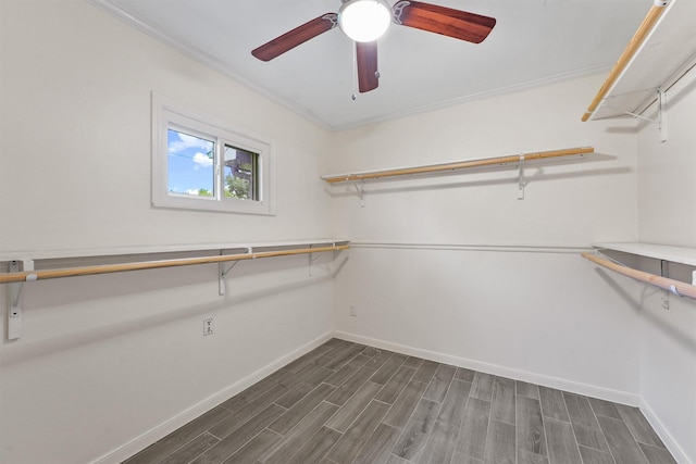 walk in closet featuring dark wood-style flooring and ceiling fan