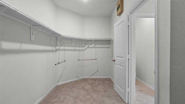22218 Delphin Grove Dr, Hockley, TX 77447 - spacious closet featuring light colored carpet