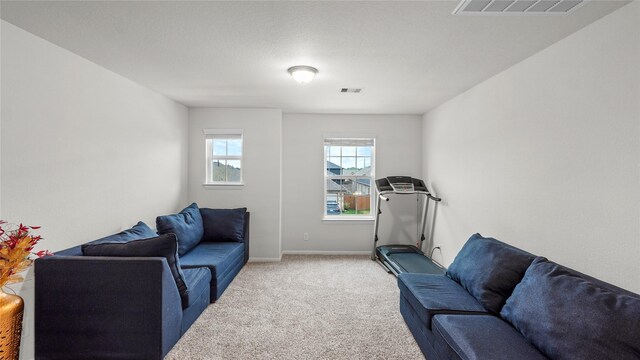 22218 Delphin Grove Dr, Hockley, TX 77447 - carpeted living room with baseboards