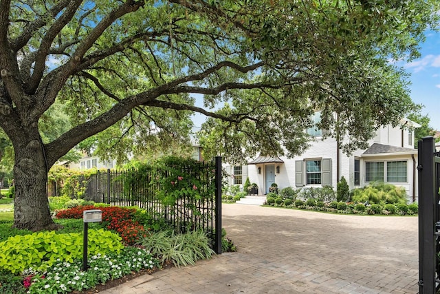 view of property hidden behind natural elements with curved driveway