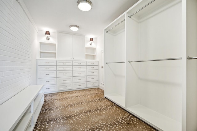 spacious closet featuring light colored carpet