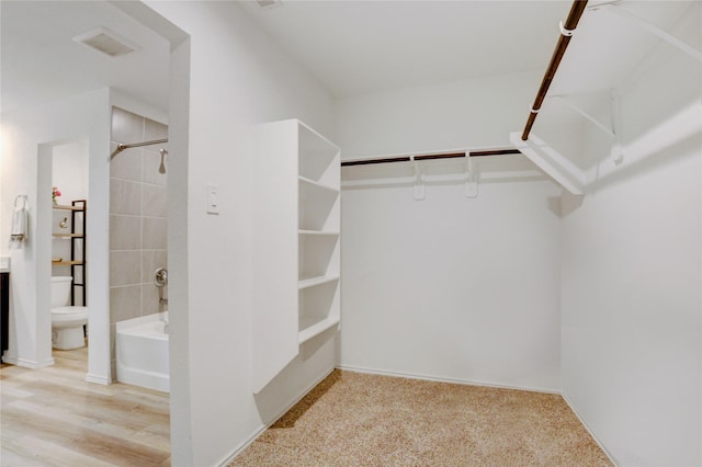 12319 Tranquil Pines Dr, Houston, TX 77014 - view of walk in closet