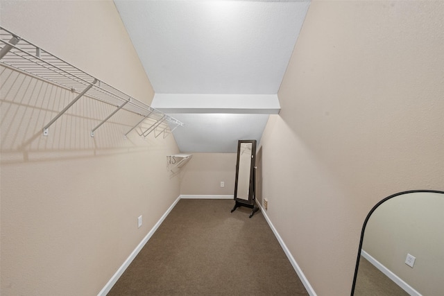 996 Scroggins Ln, Waller, TX 77484 - walk in closet with carpet floors and lofted ceiling