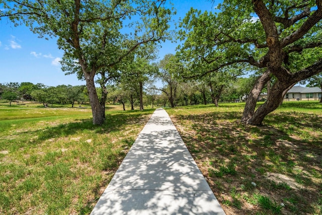 100 Calvary Dr, Adkins, TX 78101 - surrounding community featuring a lawn