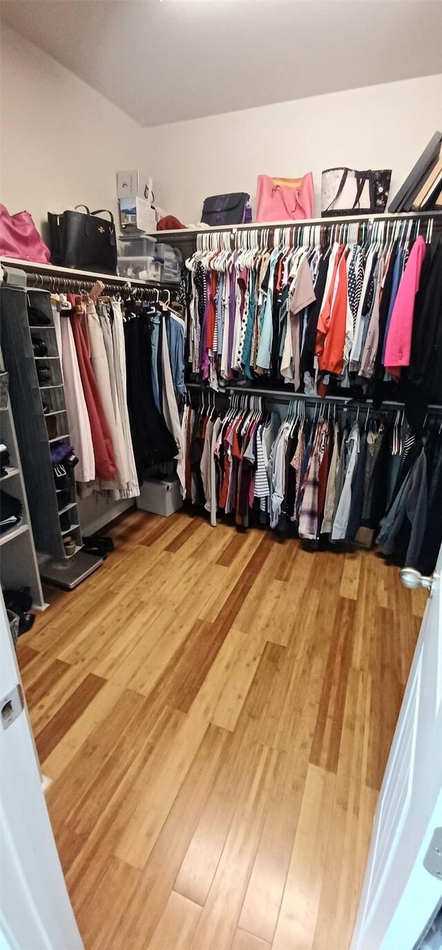 spacious closet featuring wood finished floors