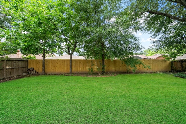 16330 Autumn Wind Dr, Houston, TX 77090 - view of yard