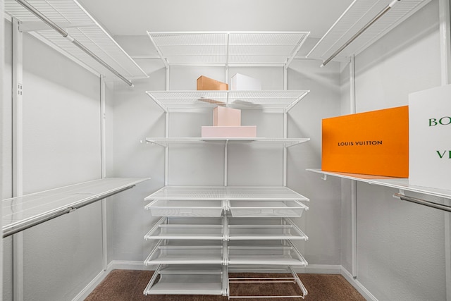 spacious closet featuring carpet flooring