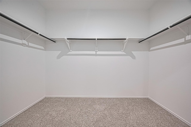 5422 Evergreen Heights Ln, Spring, TX 77373 - walk in closet with carpet flooring