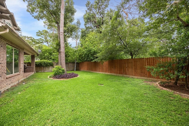 view of yard