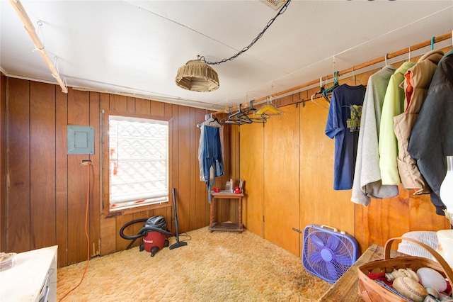 1577 Channel Dr, Brazoria, TX 77422 - spacious closet with carpet floors and electric panel