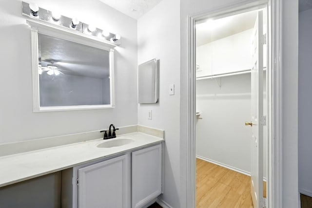 24011 Lone Elm Dr, Spring, TX 77373 - bathroom featuring wood finished floors, vanity, and ceiling fan