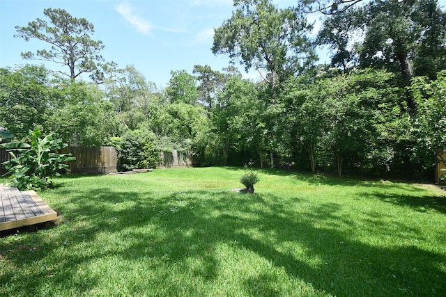 view of yard