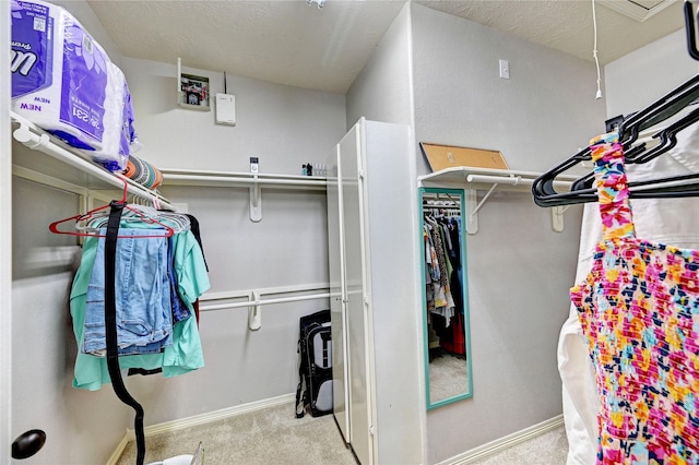 923 Garrett Dr, Magnolia, TX 77354 - walk in closet featuring carpet flooring and attic access