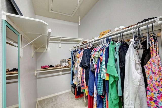 923 Garrett Dr, Magnolia, TX 77354 - walk in closet with carpet